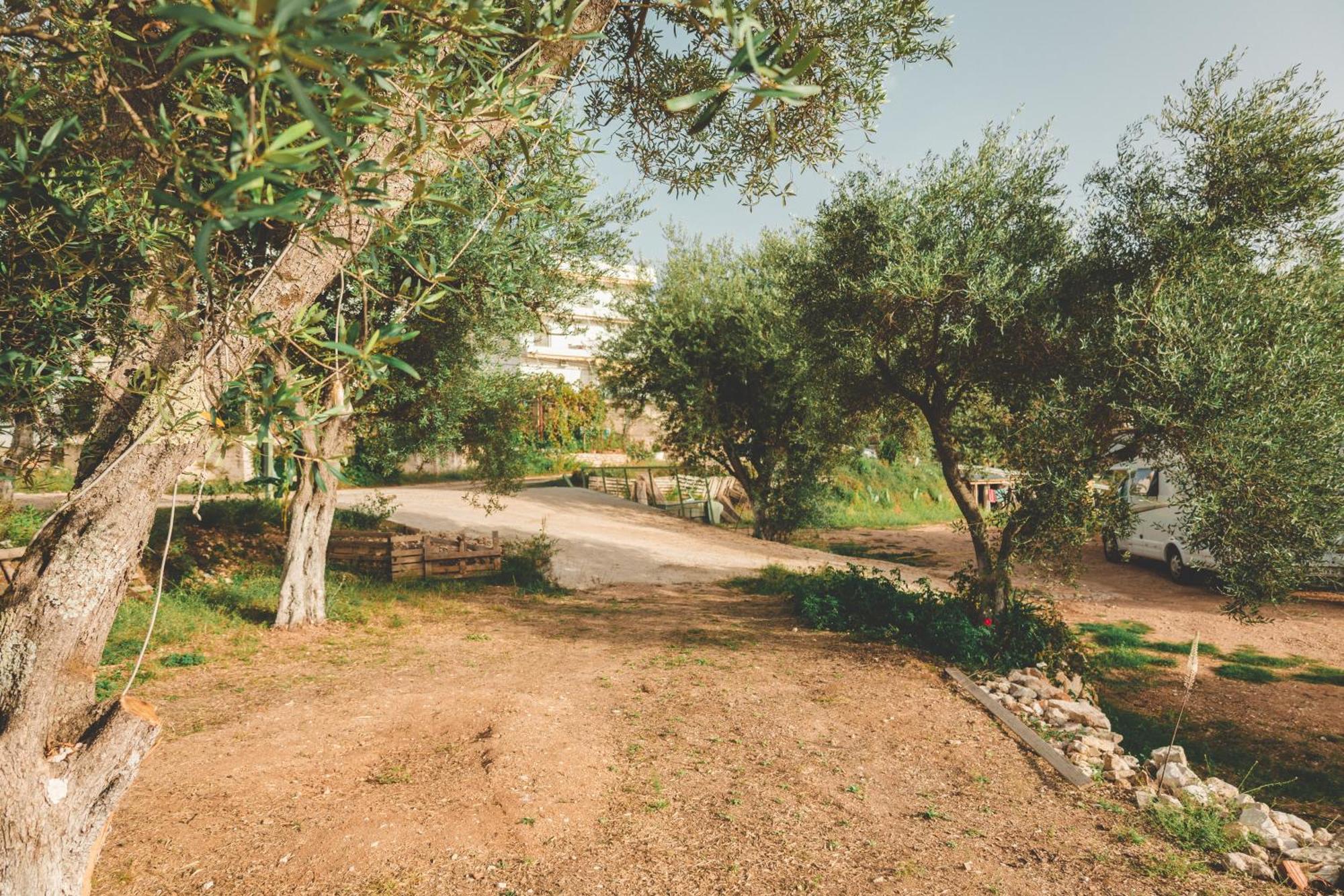 Olive Camping Хімара Екстер'єр фото